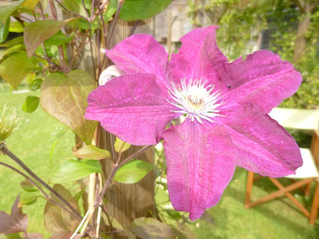 Church Hall Farm Bed And Breakfast 布洛克斯泰德 客房 照片